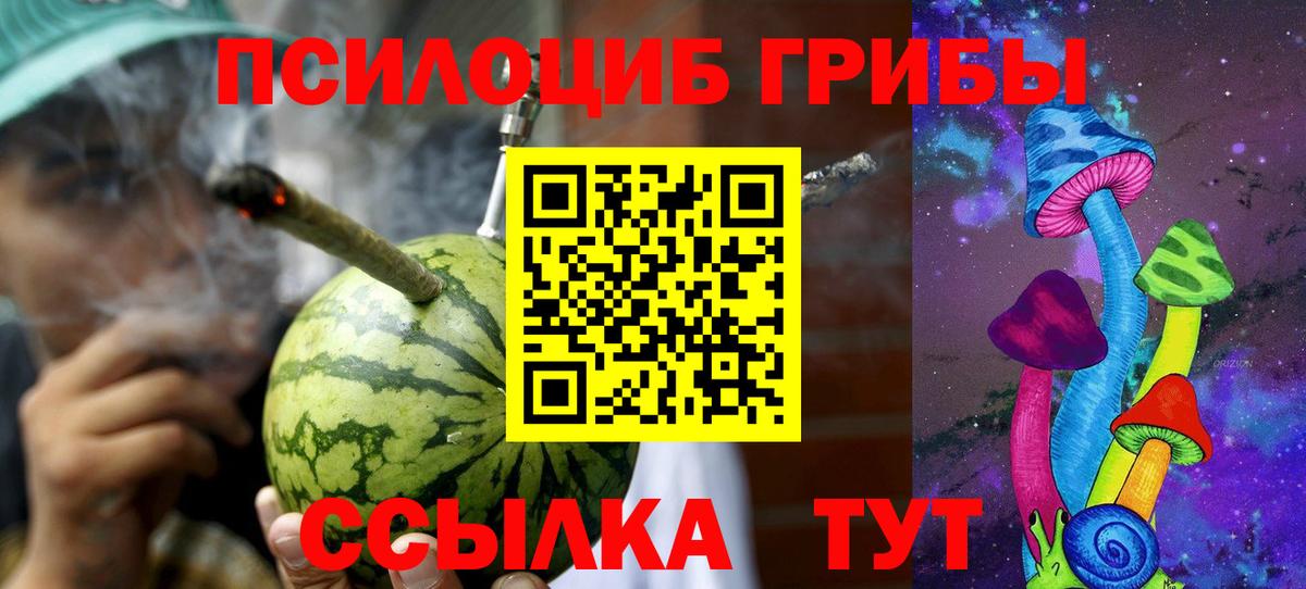 Павлово  Галлюциногенные грибы GOLDEN TEACHER  что такое наркотик  Галлюциногенные грибы Cubensis  Вход с VPN 