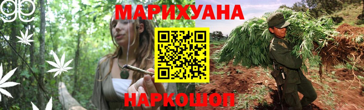 Каннабис Ganja Павлово